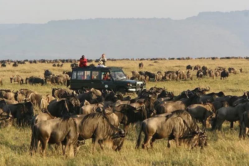 murchison falls